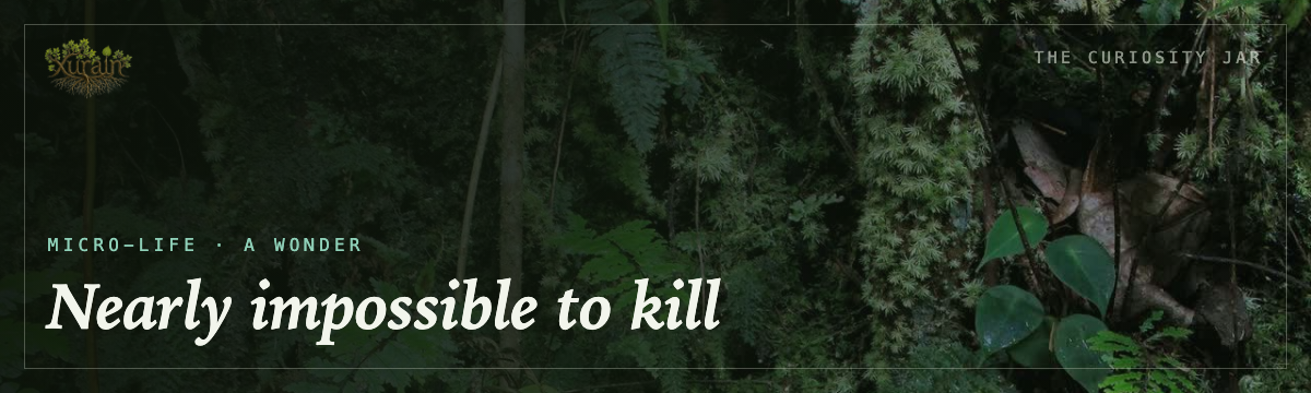 Micro-life — nearly impossible to kill