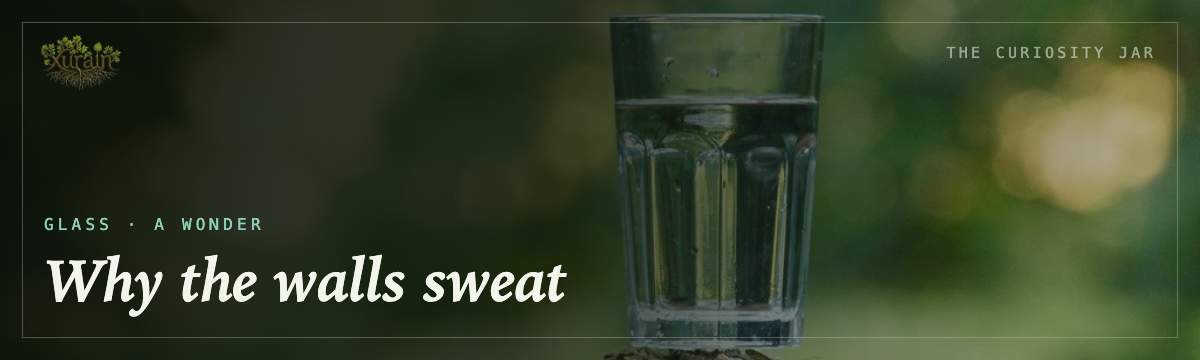 Glass — why the walls sweat