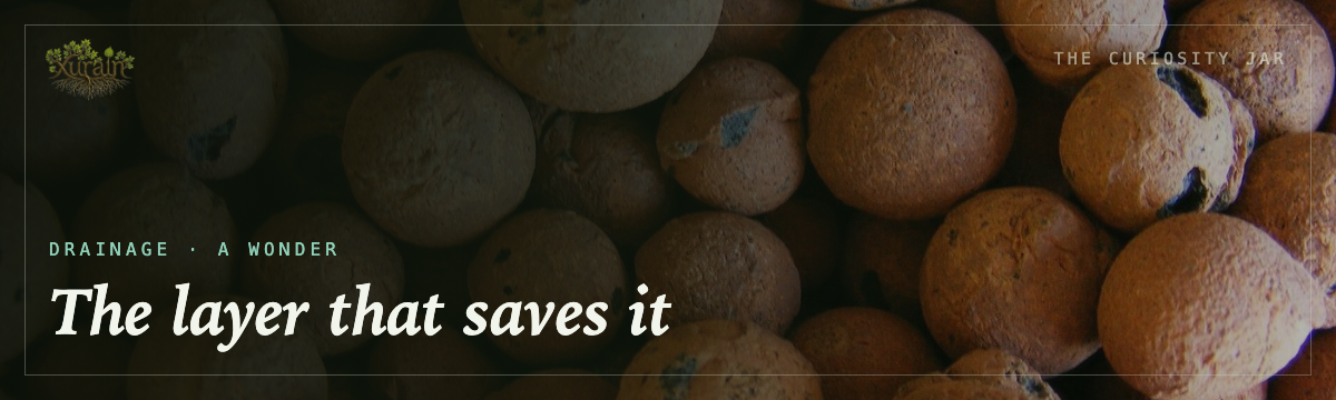 Drainage — the layer that saves it