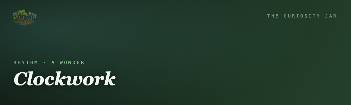 Day-night cycle timer