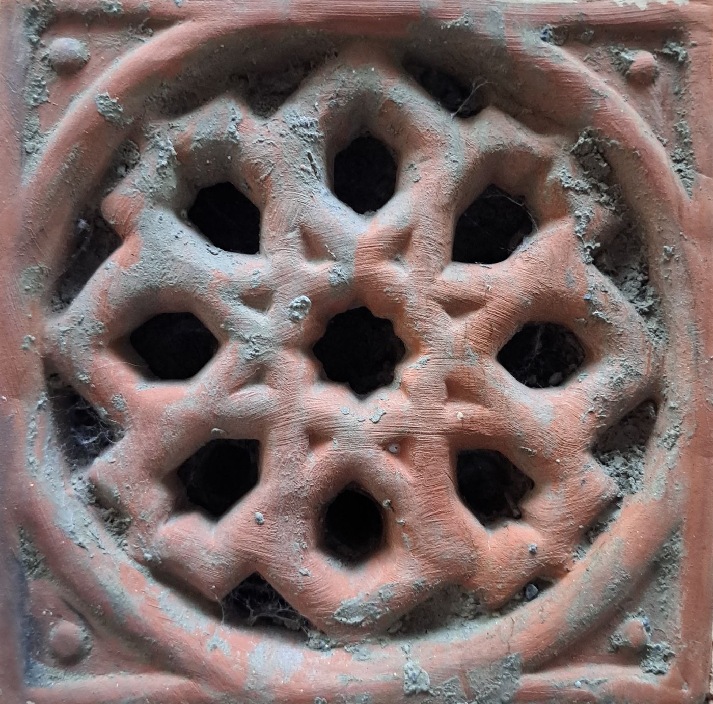 Woodlice in tree bark, cover photo for ventilation guide