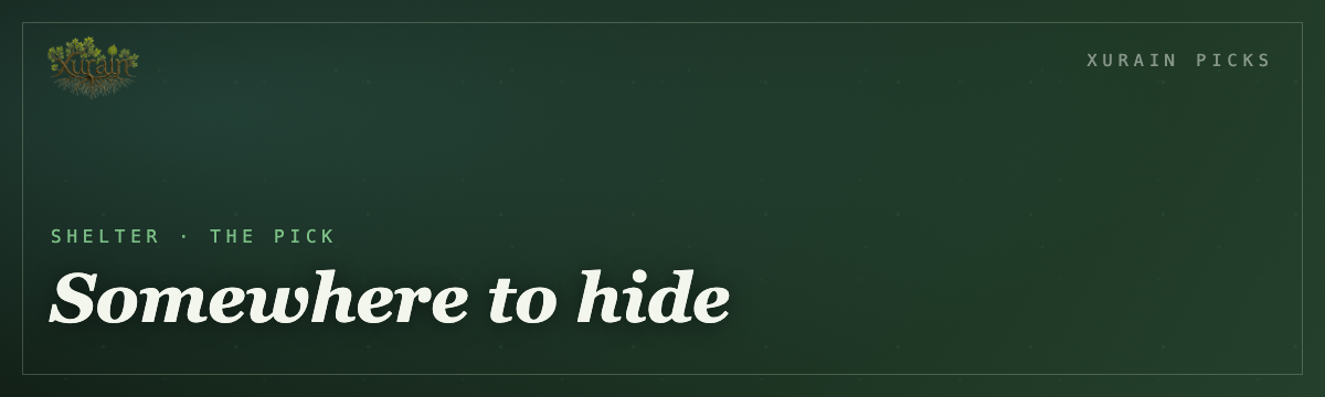 Reptile hide cave