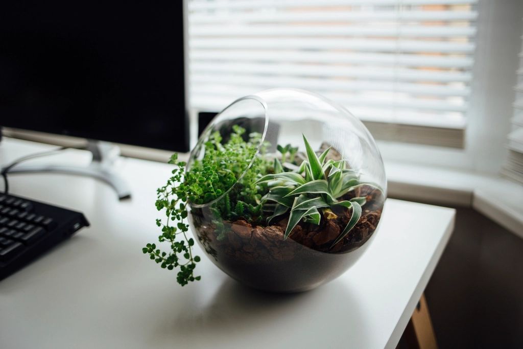 Setup & Decor