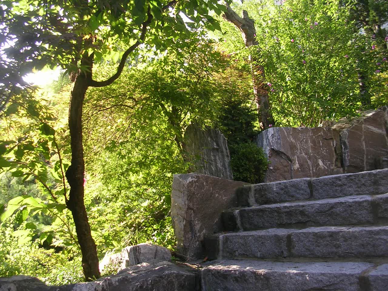 Sunlight through leaves, illustrating natural light spectrum