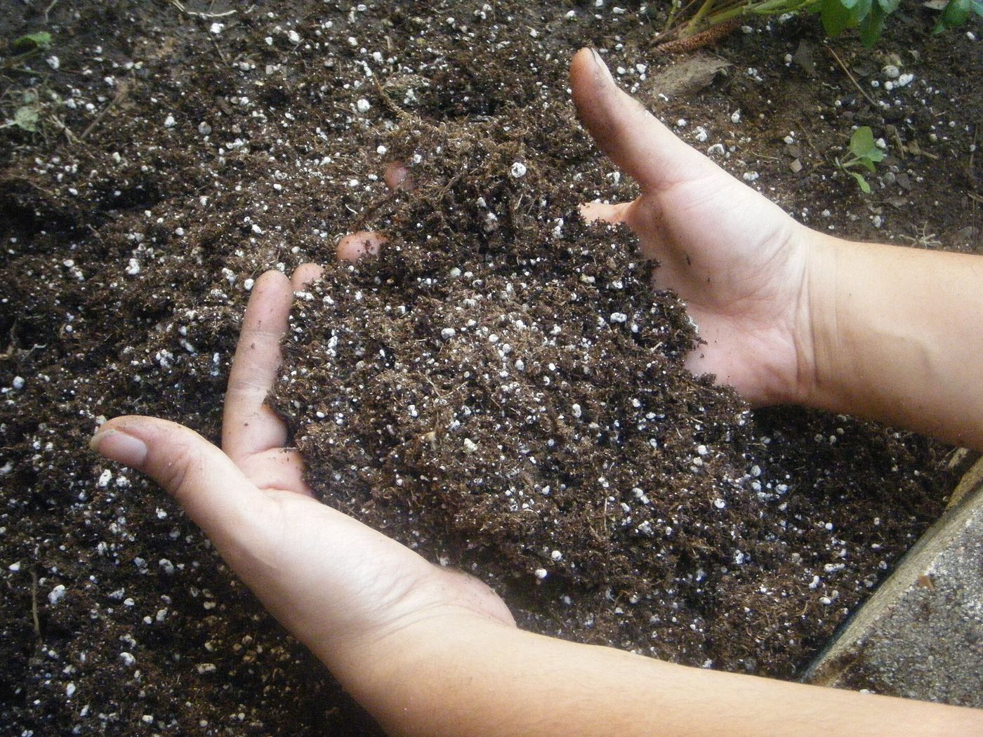 Terrarium Soil Recipe